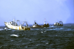 020213-GSL01.jpg